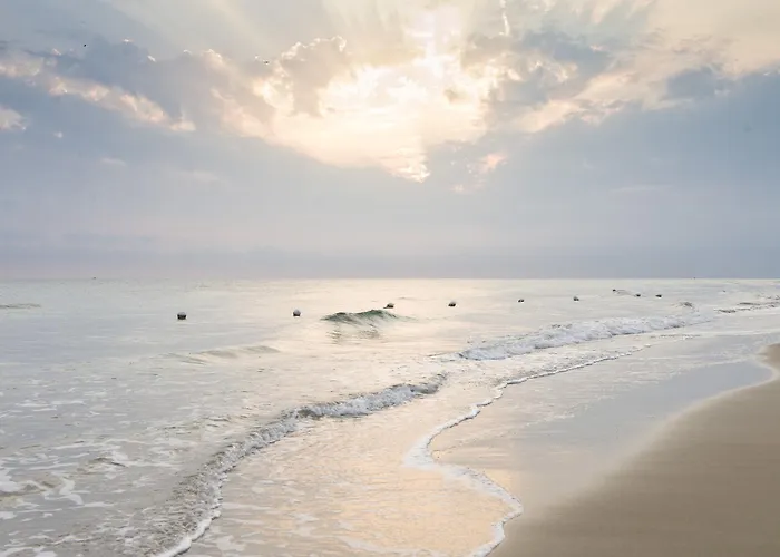 فندق Del Levante توري كان